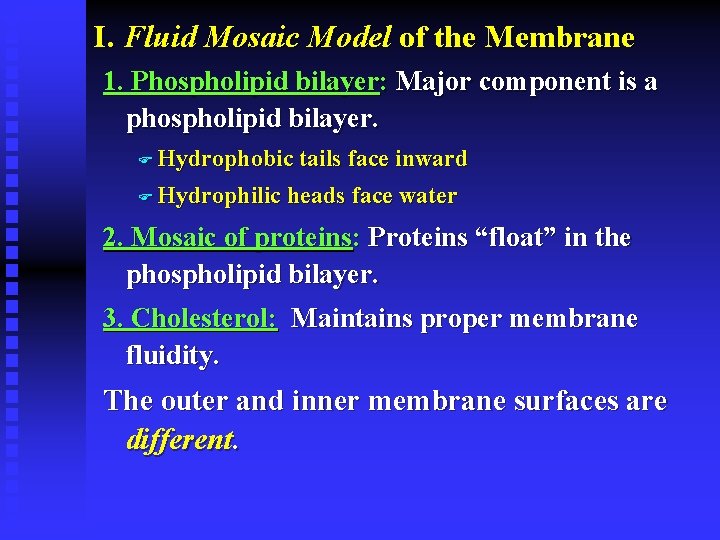 I. Fluid Mosaic Model of the Membrane 1. Phospholipid bilayer: Major component is a