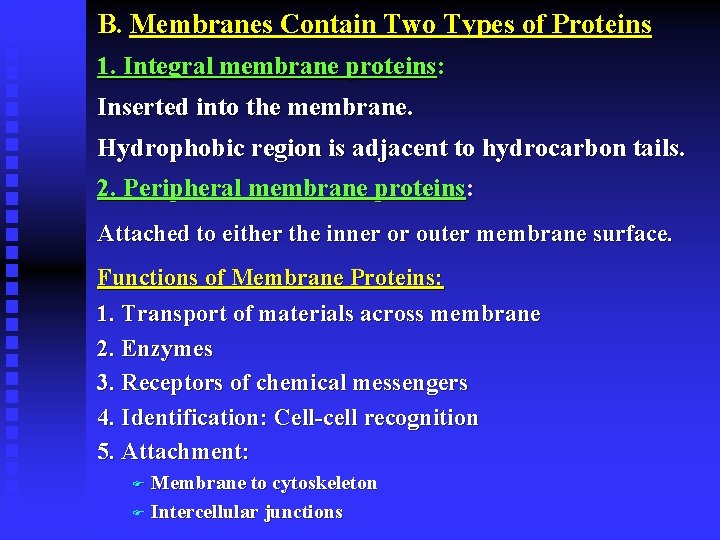 B. Membranes Contain Two Types of Proteins 1. Integral membrane proteins: Inserted into the