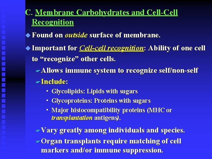 C. Membrane Carbohydrates and Cell-Cell Recognition u Found on outside surface of membrane. u