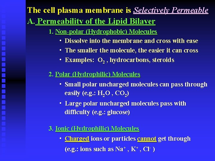 The cell plasma membrane is Selectively Permeable A. Permeability of the Lipid Bilayer 1.