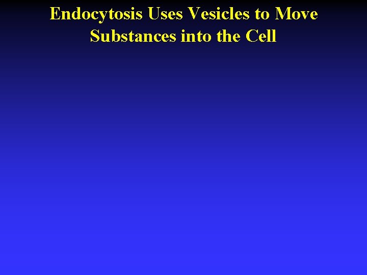 Endocytosis Uses Vesicles to Move Substances into the Cell 
