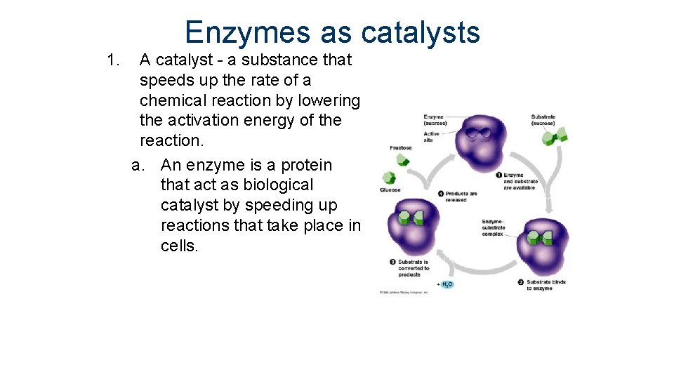 Enzymes as catalysts 1. A catalyst - a substance that speeds up the rate