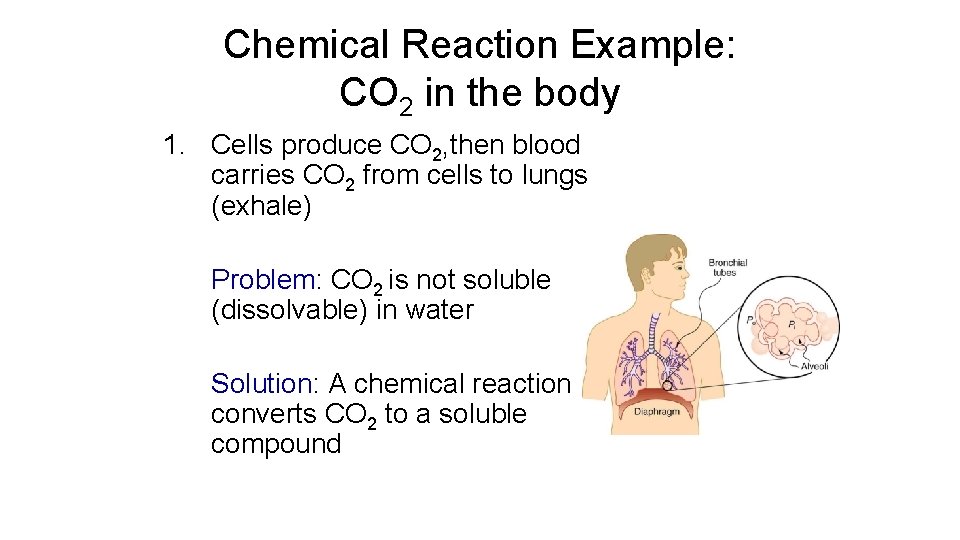 Chemical Reaction Example: CO 2 in the body 1. Cells produce CO 2, then