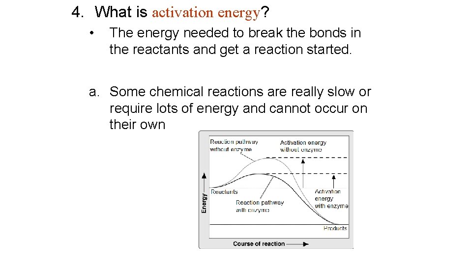 4. What is activation energy? • The energy needed to break the bonds in