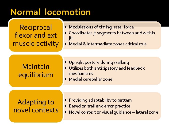 Normal locomotion Reciprocal flexor and ext muscle activity Maintain equilibrium Adapting to novel contexts