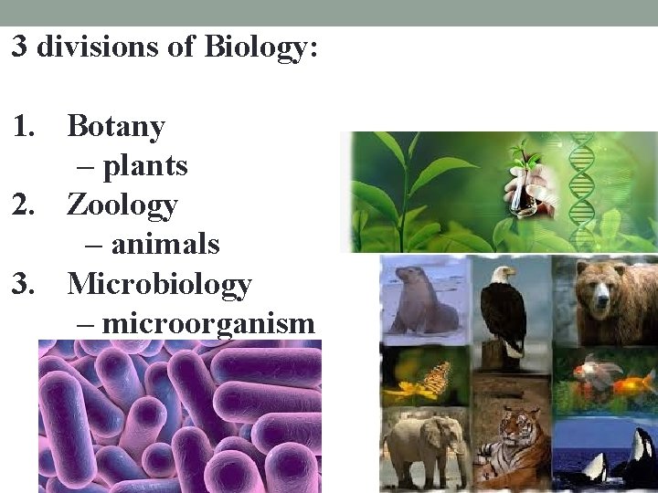 3 divisions of Biology: 1. Botany – plants 2. Zoology – animals 3. Microbiology 3 divisions of Biology: 1. Botany – plants 2. Zoology – animals 3. Microbiology