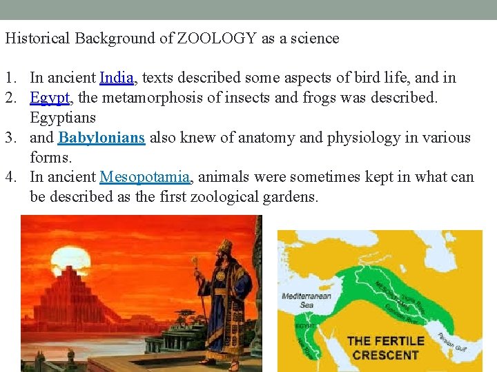 Historical Background of ZOOLOGY as a science 1. In ancient India, texts described some Historical Background of ZOOLOGY as a science 1. In ancient India, texts described some