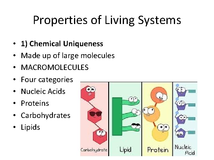 Properties of Living Systems • • 1) Chemical Uniqueness Made up of large molecules Properties of Living Systems • • 1) Chemical Uniqueness Made up of large molecules