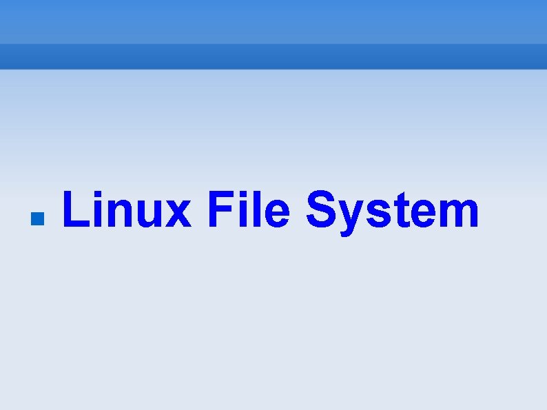  Linux File System 