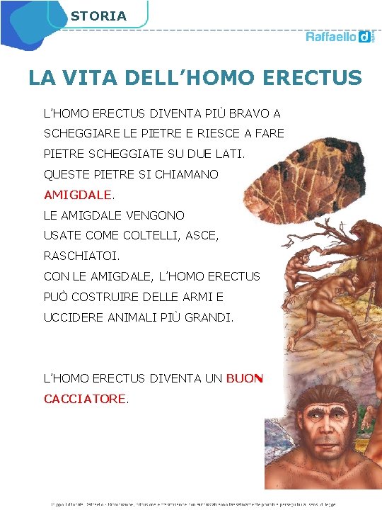 STORIA LA VITA DELL’HOMO ERECTUS DIVENTA PIÙ BRAVO A SCHEGGIARE LE PIETRE E RIESCE