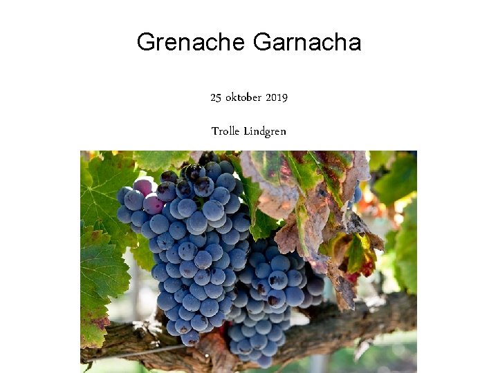 Grenache Garnacha 25 oktober 2019 Trolle Lindgren 