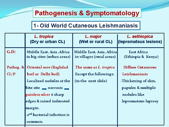 Pathogenesis & Symptomatology 1 - Old World Cutaneous Leishmaniasis L. tropica (Dry or urban