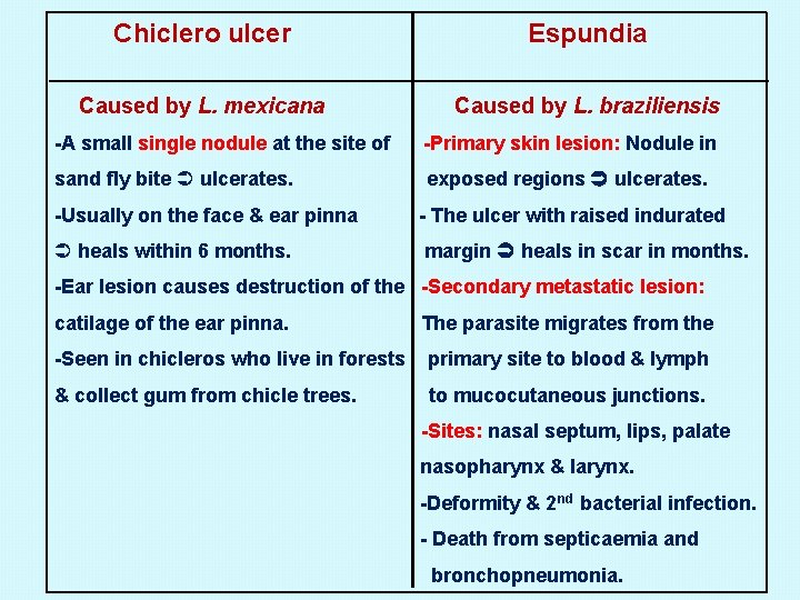 Chiclero ulcer Espundia Caused by L. mexicana Caused by L. braziliensis -A small single