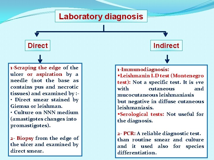 Laboratory diagnosis Direct Indirect 1 -Scraping the edge of the ulcer or aspiration by