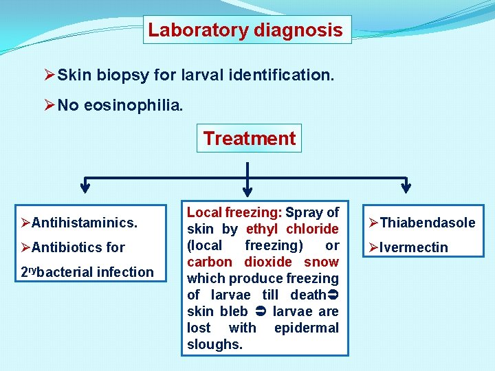 Laboratory diagnosis ØSkin biopsy for larval identification. ØNo eosinophilia. Treatment ØAntihistaminics. ØAntibiotics for 2