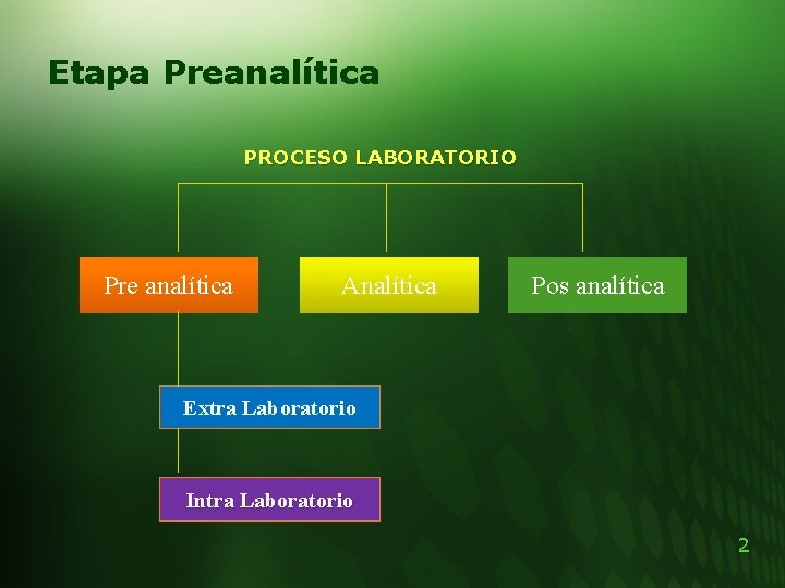 Calidad en la Etapa Preanaltica Laboratorio Clnico Hospital
