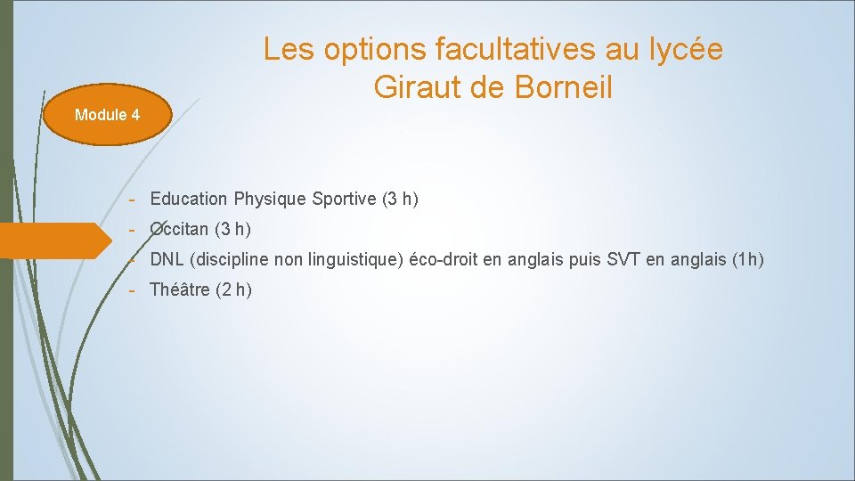 Les options facultatives au lycée Giraut de Borneil Module 4 - Education Physique Sportive