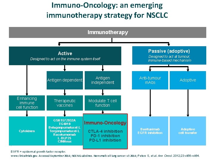 Immuno-Oncology: an emerging immunotherapy strategy for NSCLC Immunotherapy Passive (adoptive) Active Designed to act