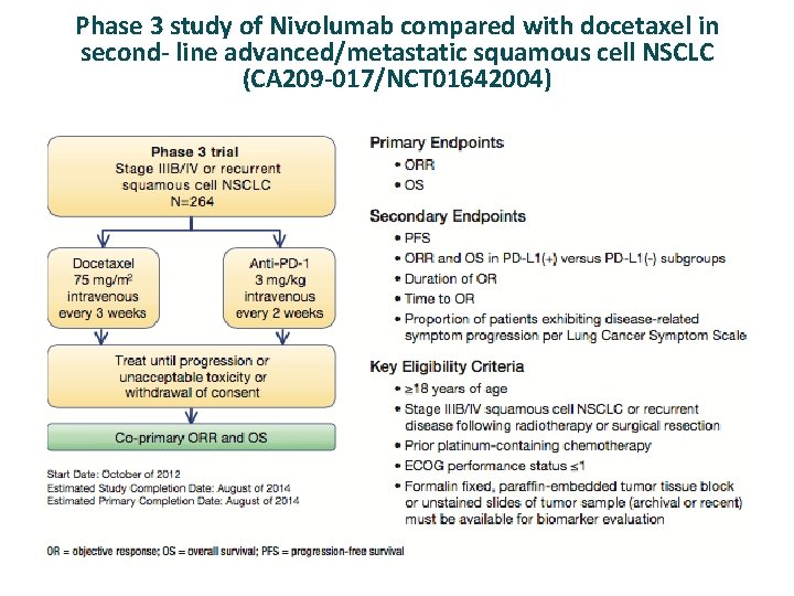 Phase 3 study of Nivolumab compared with docetaxel in second- line advanced/metastatic squamous cell