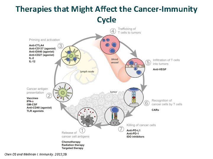 Therapies that Might Affect the Cancer-Immunity Cycle Chen DS and Mellman I. Immunity. 2013;