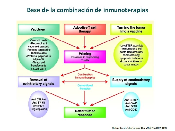 Base de la combinación de inmunoterapias 
