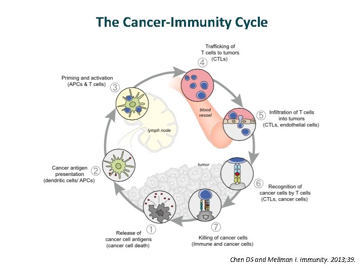The Cancer-Immunity Cycle Chen DS and Mellman I. Immunity. 2013; 39. 