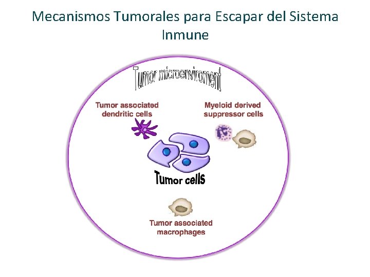 Mecanismos Tumorales para Escapar del Sistema Inmune 