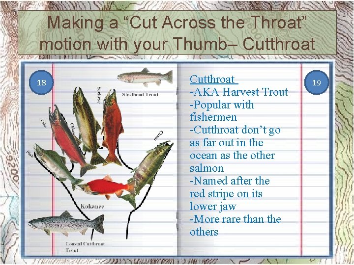 Making a “Cut Across the Throat” motion with your Thumb– Cutthroat 18 Cutthroat -AKA