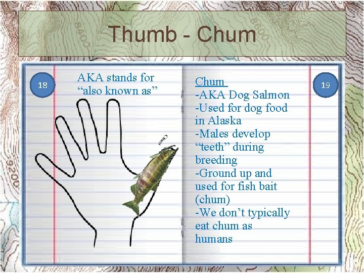 Thumb - Chum 18 AKA stands for “also known as” Chum -AKA Dog Salmon