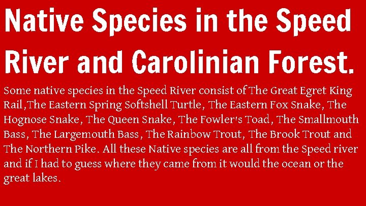Native Species in the Speed River and Carolinian Forest. Some native species in the