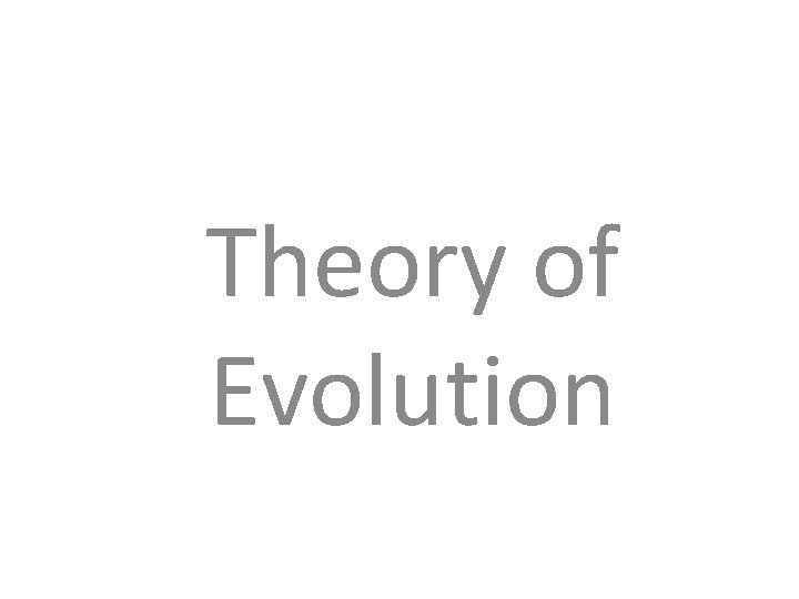 Theory of Evolution 