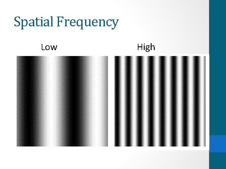 Spatial Frequency Low High 