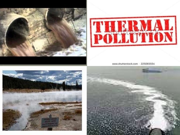 Thermal Marine Pollution Thermal Pollution is the harmful