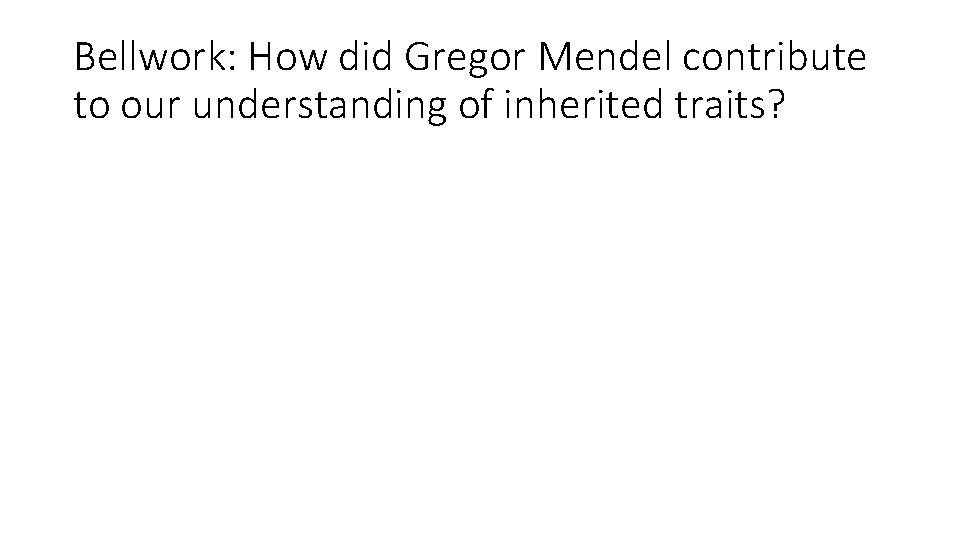 Bellwork: How did Gregor Mendel contribute to our understanding of inherited traits? 