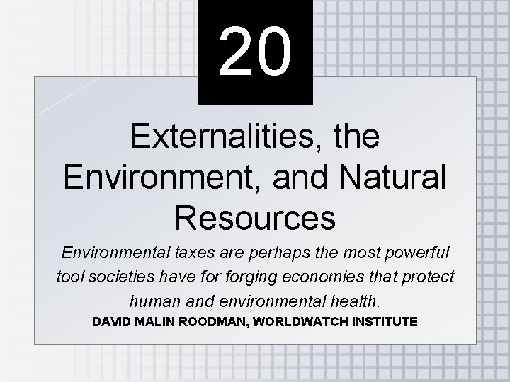 20 Externalities, the Environment, and Natural Resources Environmental taxes are perhaps the most powerful