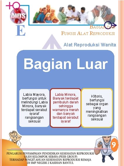 E BAGIAN DAN FUNGSI ALAT REPRODUKSI Alat Reproduksi Wanita Bagian Luar Labia Mayora, berfungsi