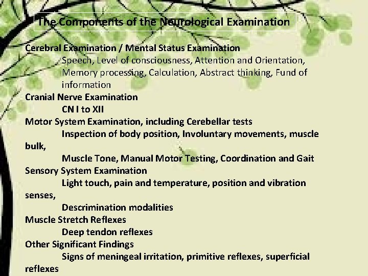 The Components of the Neurological Examination Cerebral Examination / Mental Status Examination Speech, Level