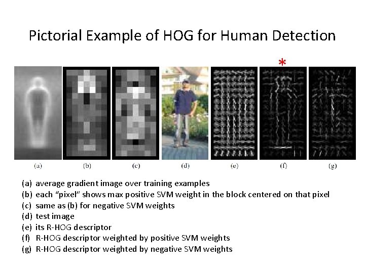 Pictorial Example of HOG for Human Detection * (a) (b) (c) (d) (e) (f)