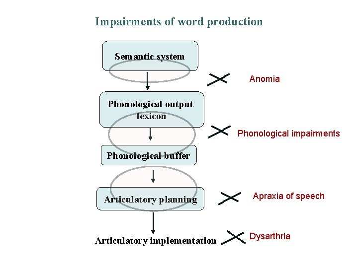 Impairments of word production Semantic system Anomia Phonological output lexicon Phonological impairments Phonological buffer Impairments of word production Semantic system Anomia Phonological output lexicon Phonological impairments Phonological buffer