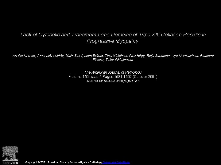 Lack of Cytosolic and Transmembrane Domains of Type XIII Collagen Results in Progressive Myopathy