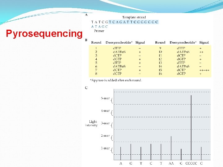 Pyrosequencing 