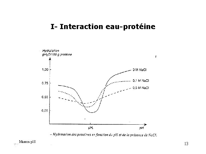 I- Interaction eau-protéine Masson p 18 Chap 5 - Protéines alimentaires. 13 