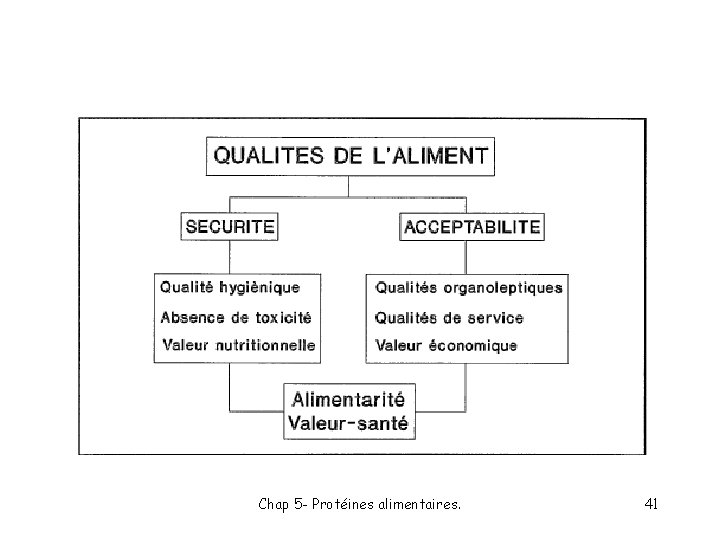 Chap 5 - Protéines alimentaires. 41 