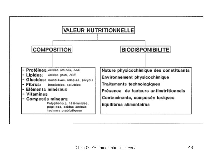 Chap 5 - Protéines alimentaires. 43 