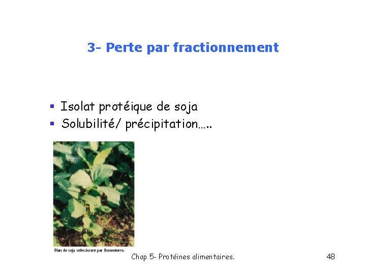 3 - Perte par fractionnement § Isolat protéique de soja § Solubilité/ précipitation…. .