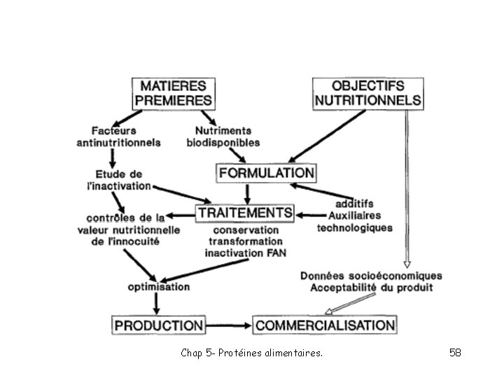 Chap 5 - Protéines alimentaires. 58 