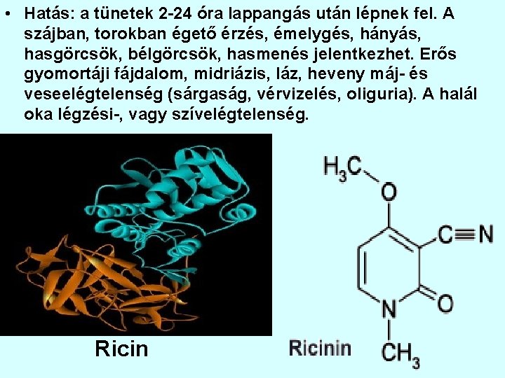  • Hatás: a tünetek 2 -24 óra lappangás után lépnek fel. A szájban,