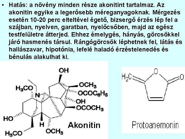  • Hatás: a növény minden része akonitint tartalmaz. Az akonitin egyike a legerősebb