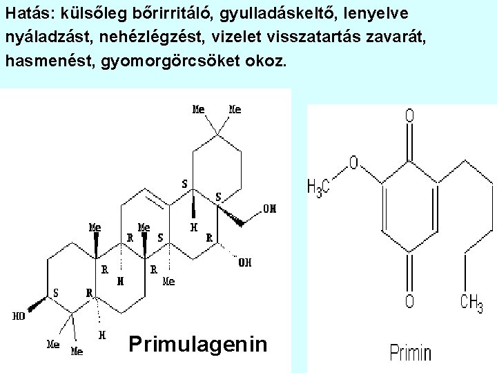 Hatás: külsőleg bőrirritáló, gyulladáskeltő, lenyelve nyáladzást, nehézlégzést, vizelet visszatartás zavarát, hasmenést, gyomorgörcsöket okoz. Primulagenin