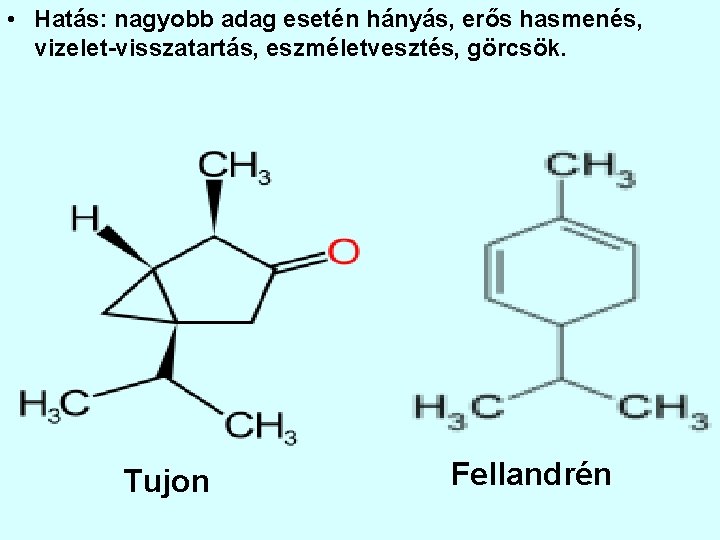  • Hatás: nagyobb adag esetén hányás, erős hasmenés, vizelet-visszatartás, eszméletvesztés, görcsök. Tujon Fellandrén